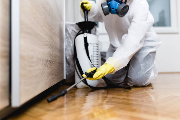 Best Best Pest Control Companies  in Western Lake, TX