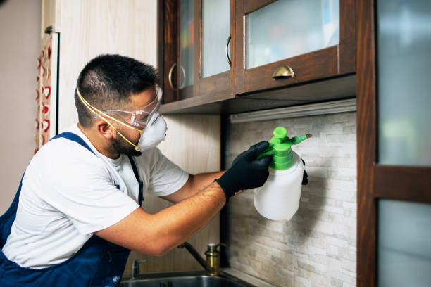Best Bed Bug Extermination  in Western Lake, TX