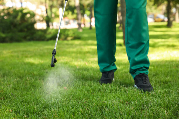 Best Pest Inspection Near Me  in Western Lake, TX
