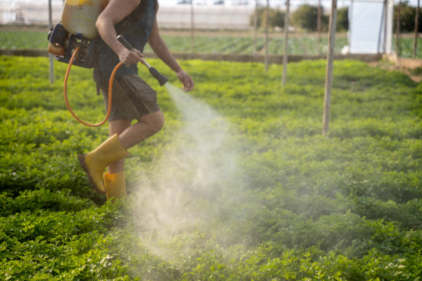 Best Pest Control for Businesses  in Western Lake, TX