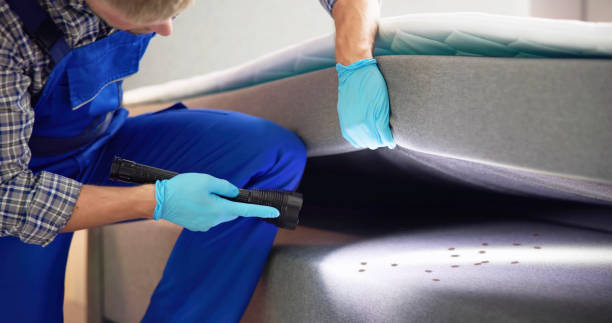 Best Local Pest Control Services  in Western Lake, TX