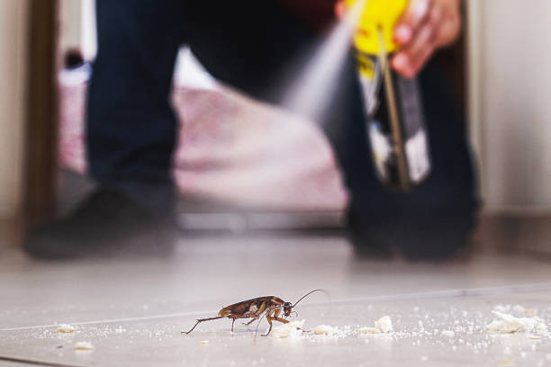 Best Residential Pest Control  in Western Lake, TX