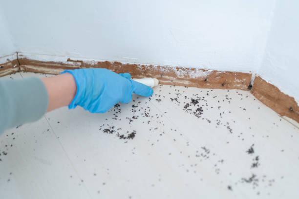 Pest Control for Restaurants in Western Lake, TX