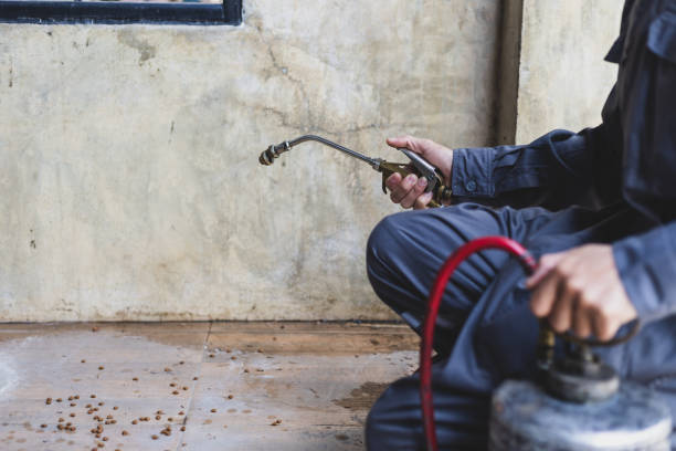 Best Pest Prevention Services  in Western Lake, TX